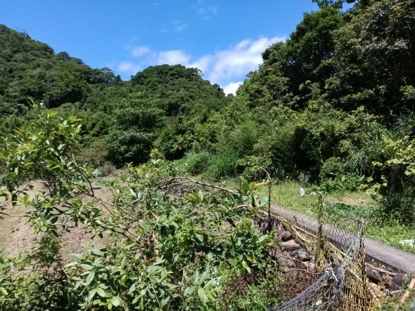 貢寮區文秀坑古道+觀日嶺步道O型2809170