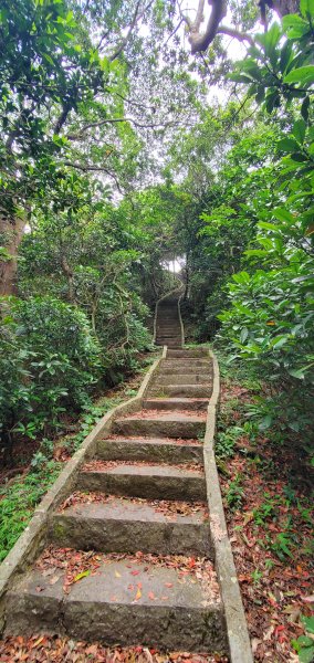 2024-06-15觀音山【福隆山、尖山(占山)登山步道】O走2528233