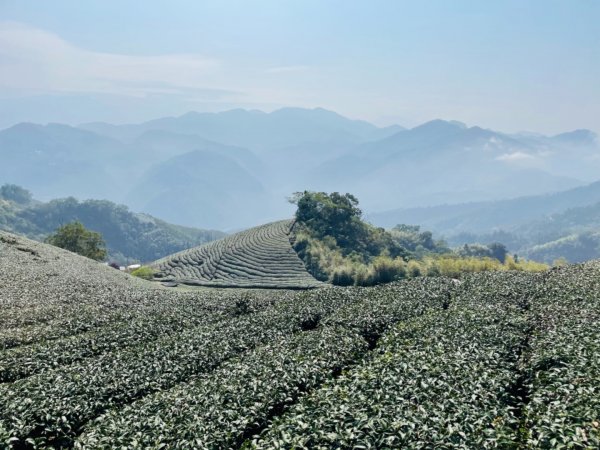 1100305二尖山.大尖山1297126