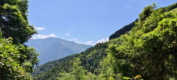 2026/05/31_白蘭溪古道O型3066886