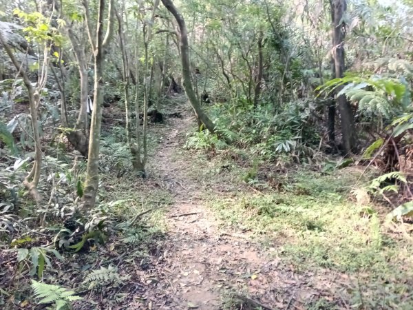 基隆市/萬里區界寮縱走之三界山+三界山西峰+開眼尖山+七分寮山+瑪七產道山泉水接水亭2979596