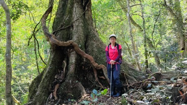 唐穗山11408162860926