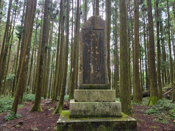 二萬坪山、二萬坪森林步道3055606
