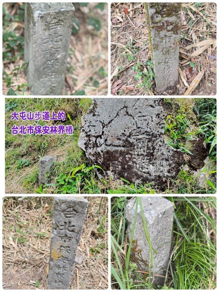 大屯山(小百岳# 001) &小油坑山2898871