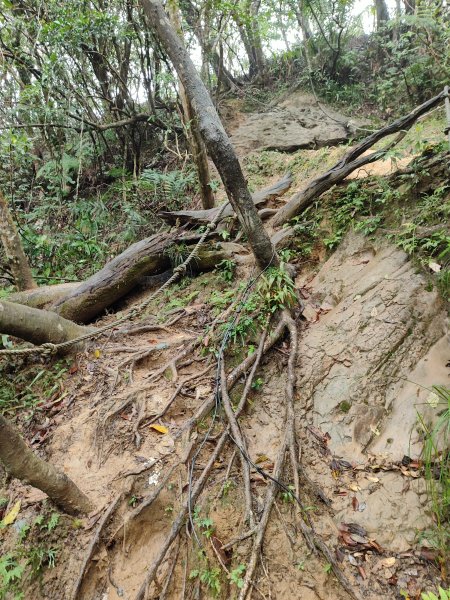 微笑山線：【二格山系】皇帝殿稜線段2955961
