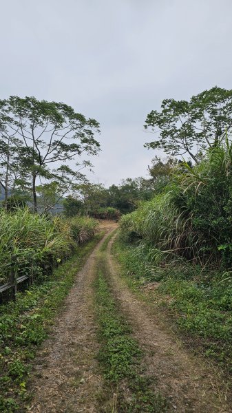 【登頂小百岳；見證九二一】解鎖第57座小百岳，編號047九份二山 🏔️2952092