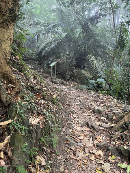 崁頭山步道｜上去後Ｏ型 左上 右下1909781