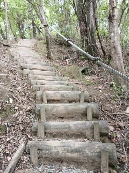 平溪區淡蘭山徑-平湖西步道+內平林山+東步道O型2769914