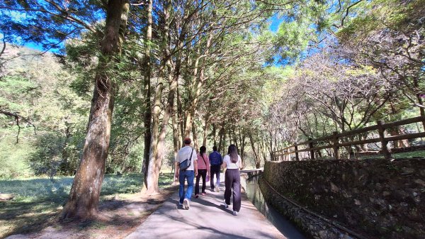 20251116 武界壩－摩摩納爾瀑布2937959