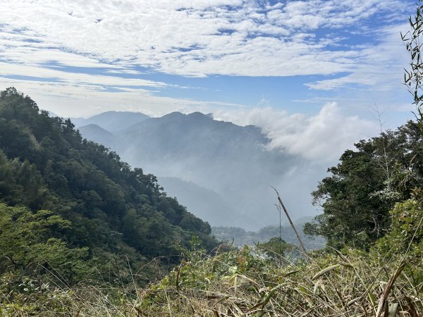 二延平步道2969796