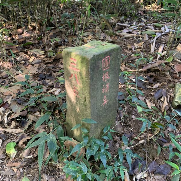 20251010高雄尾寮山-西北峰2913627