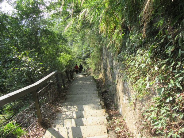 20200201-獅頭山820596