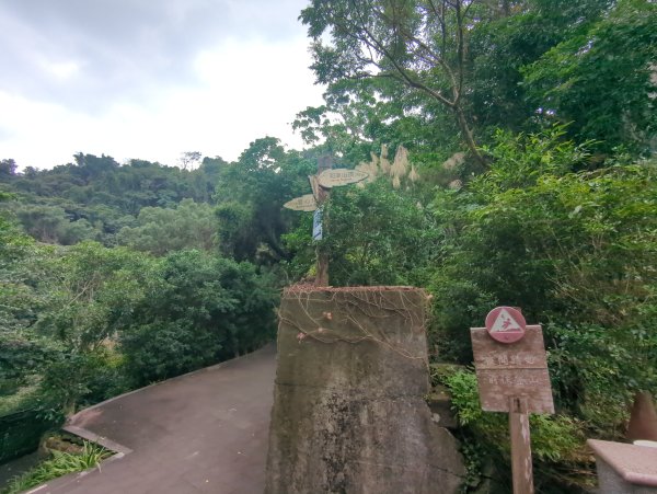 2025.12.14－微笑山線：【二格山系】和美山螢火蟲段2966246