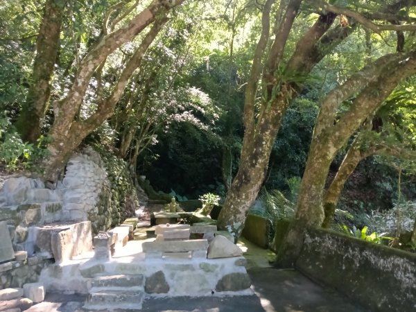 坪林區南豹子廚山+豹子廚古道+北豹子廚山2900473