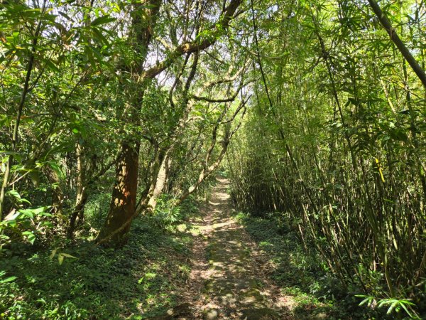 大屯主峰-連峰步道環形（小百岳）2904380