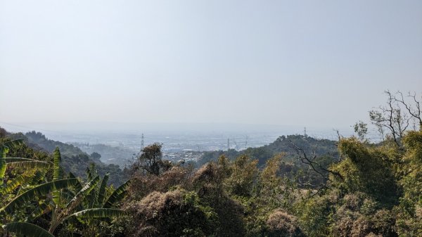 阿罩霧山 樟公廟來回2046444