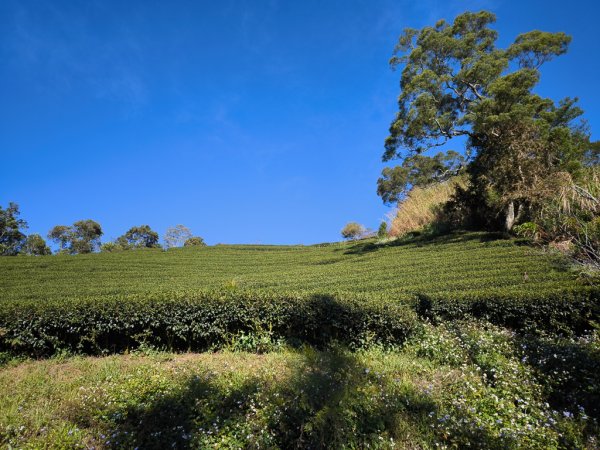 2025-12-21 武界山、獅凸魯山、橫屏山、橫屏山西峰2969675