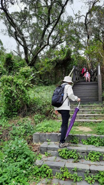 《新竹》城市微旅｜青青草原及香山濕地賞蟹步道202112121547118