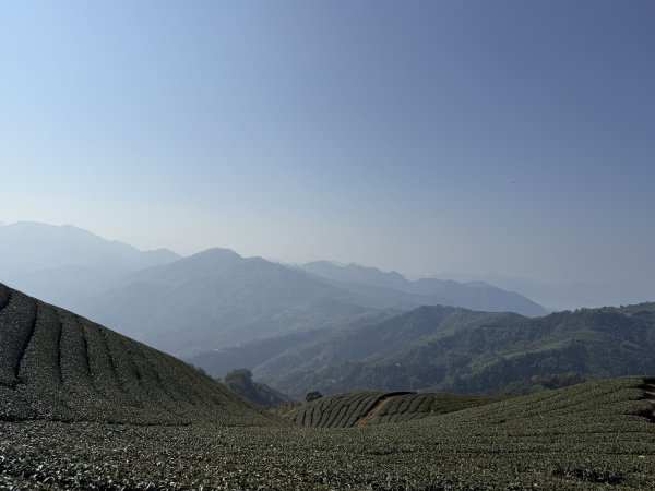 69雲嘉8連峰3084273