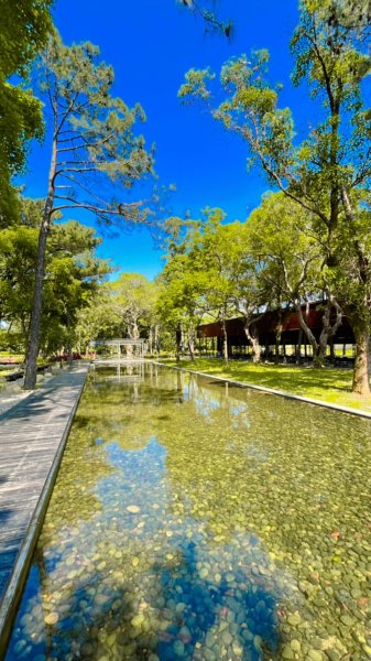 大湳森林公園2817285