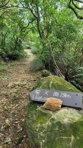 擎天崗系步道巡禮2104322