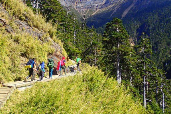 登峰造極--2018玉山主峰532513