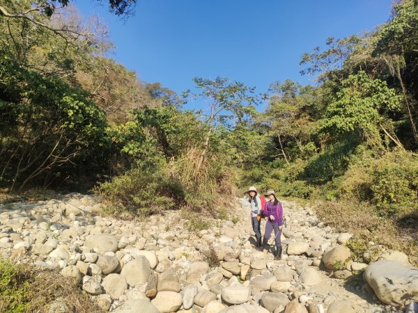 1110116 大坑四，五，三之一號步道O型一圈1584035