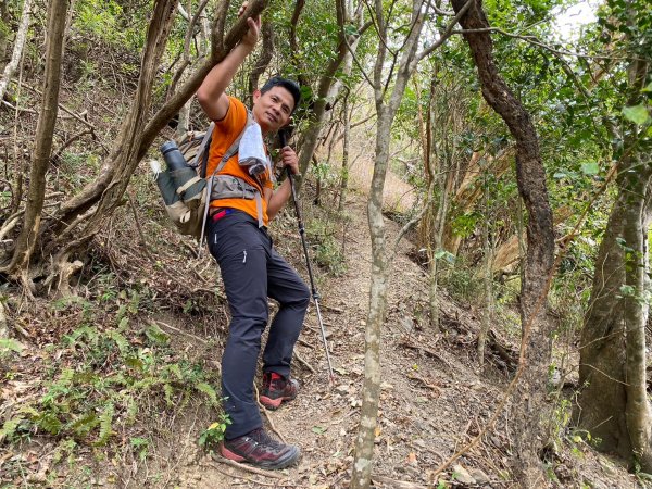 巴層巴墨山【一趟讓人刷新三觀的山林之旅】2714503