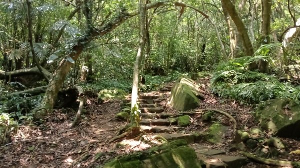 基隆市海興森林步道-情人塔-老鷹岩-情人湖登山步道O型3092721