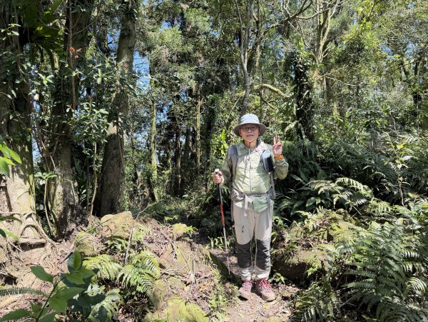 [淡蘭古道] 2026_0315 南路第三段_獵狸尖步道3017283
