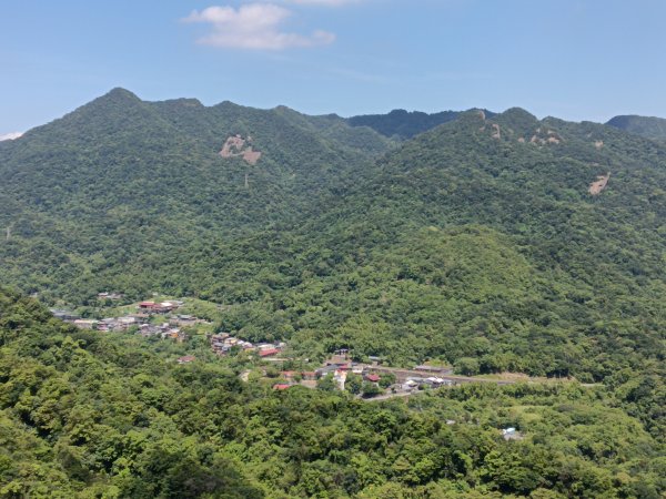 平溪區慈恩嶺+慈母峰探找艷紅鹿子百合花影2870239