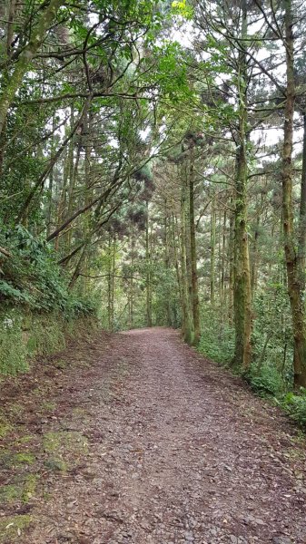 淡蘭古道坪溪段1294155