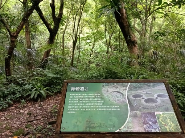 基隆市荖寮坑古道+十分古道(暖東舊道)+頂子寮山(嶺頭土地公)P字走2821507