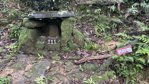 暖東峽谷到十分老街|Nuandong Valley |淡蘭古道|中路第一段|峯花雪月2578851