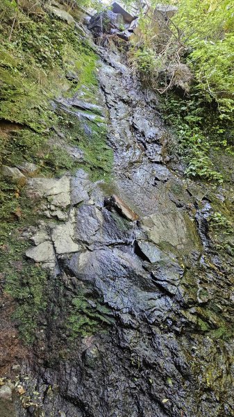 20250820金童玉女月牙天沖(金童嶺-玉女嶺-女王尖-月牙嶺-瑞光嶺-明月崙-清淨嶺-文筆嶺-清2872742