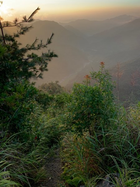 百川山沿稜探勘過210林道至海拔2025公尺處111.9.241912646