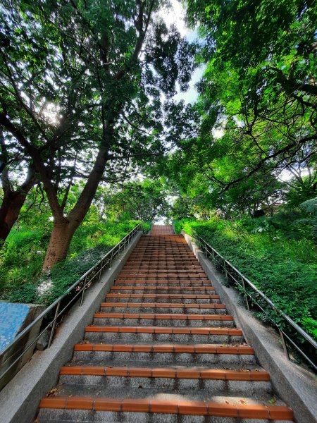 《台中》大肚環保公園登山步道、望高寮賞景1054596