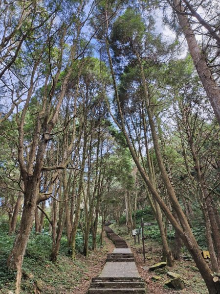 2023.12.27 東眼山2838844