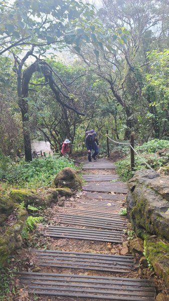 2025-0204 鶯歌_大凍山_三角埔頂山_迴龍2707993