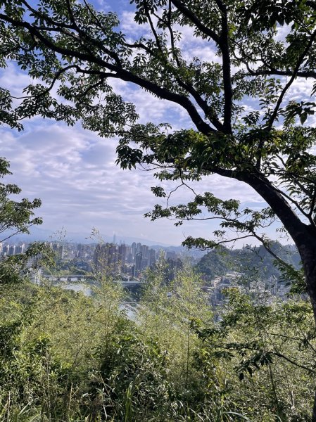 【二格山系】和美山螢火蟲2852558