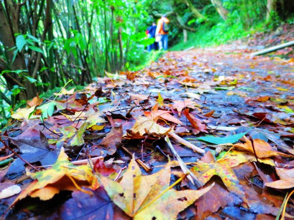 古道水圳瀑布之旅-氣勢磅礡絹絲瀑布759366