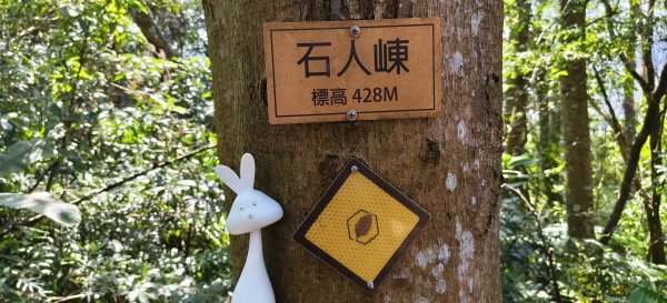 2025/03/01_打牛崎+八寮古道O型2724115