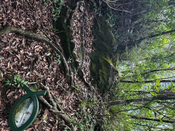 內湖鯉魚山之旅2811729