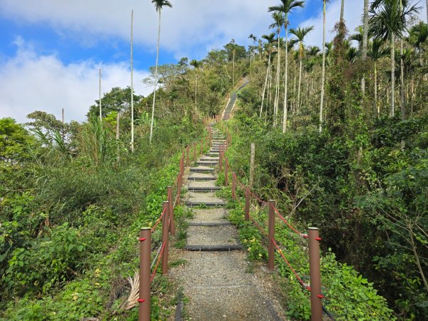 嘉義竹崎十連峰（ 阿拔泉山進O繞獨立山出）2655196