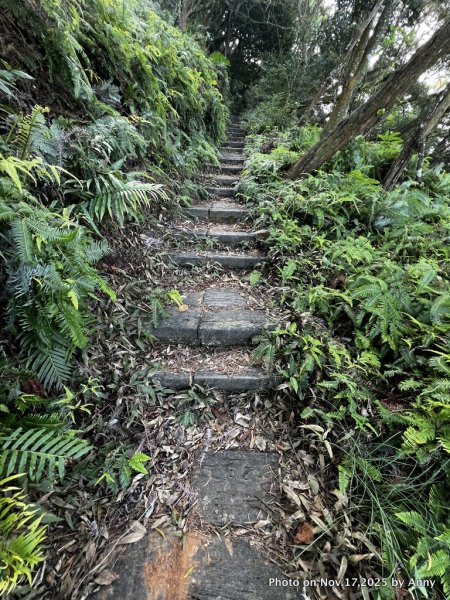 苗栗三員縱走2942830