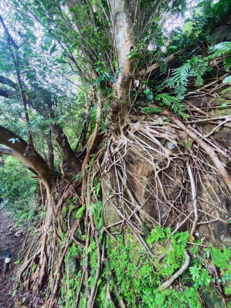 微笑山線之新店和美山-銀河洞2847779