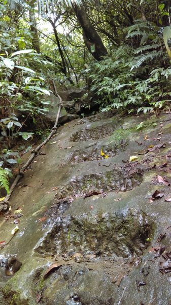 滑瀑岩洞、溪水清澈的基隆暖東峽谷步道974276