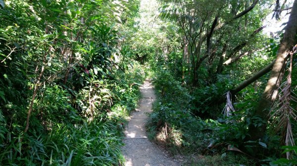 台北大縱走之劍潭山+忠義山445679