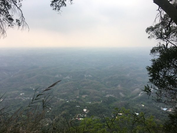 龍麟山步道518942