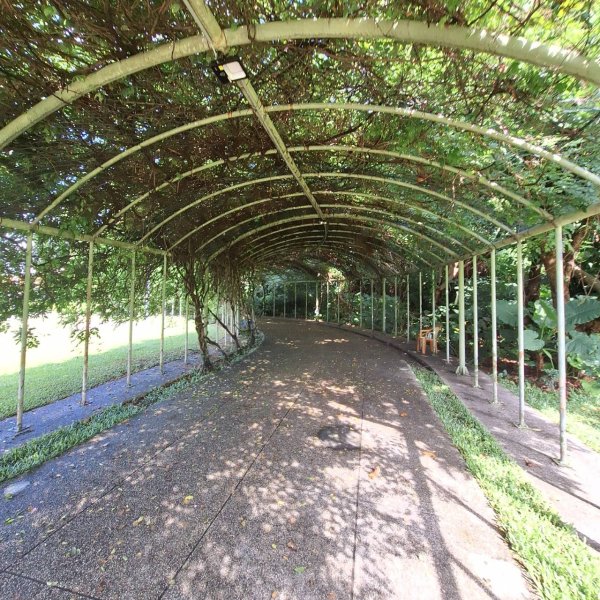 「2025 臺北健走趣」12行政區完成!2838587